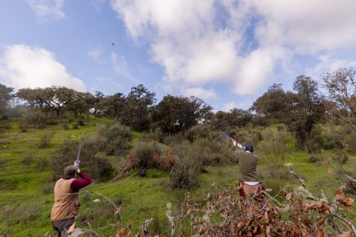 00277- Caçada Pego do Lobo fim época 2026