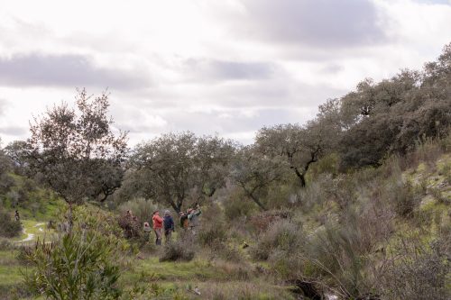 00278- Caçada Pego do Lobo fim época 2026