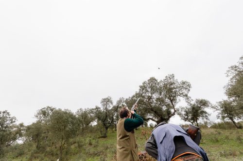 00279- Caçada Melo Pego do Lobo 2025