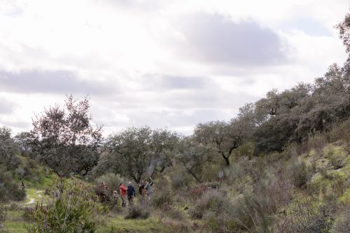 00279- Caçada Pego do Lobo fim época 2026