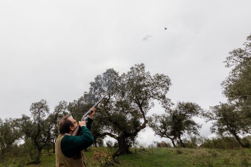 00280- Caçada Melo Pego do Lobo 2025