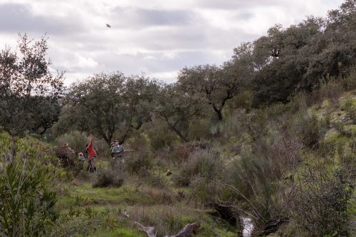00280- Caçada Pego do Lobo fim época 2026