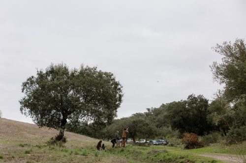 00282- Caçada Melo Pego do Lobo 2025