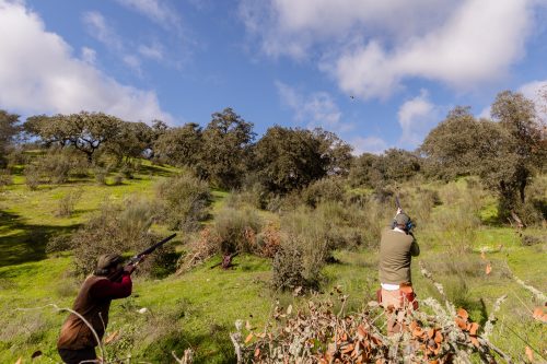 00282- Caçada Pego do Lobo fim época 2026