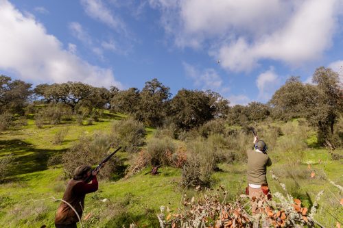 00283- Caçada Pego do Lobo fim época 2026