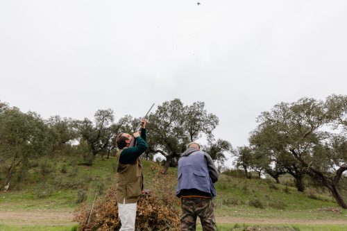 00284- Caçada Melo Pego do Lobo 2025