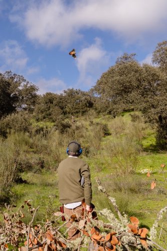 00284- Caçada Pego do Lobo fim época 2026