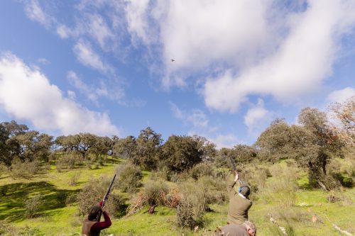 00286- Caçada Pego do Lobo fim época 2026