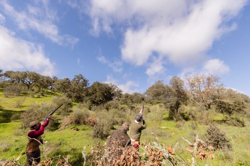00287- Caçada Pego do Lobo fim época 2026