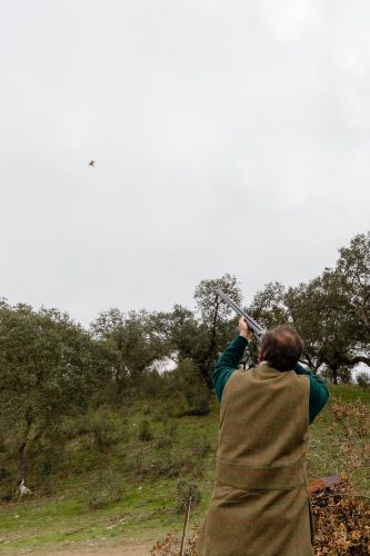 00288- Caçada Melo Pego do Lobo 2025