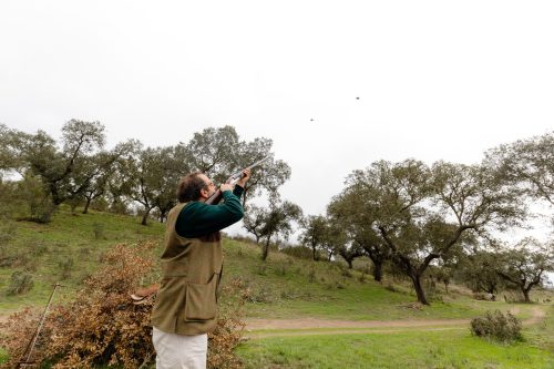 00290- Caçada Melo Pego do Lobo 2025