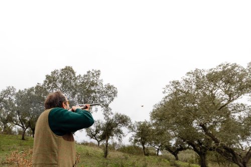 00291- Caçada Melo Pego do Lobo 2025