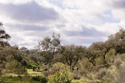 00291- Caçada Pego do Lobo fim época 2026