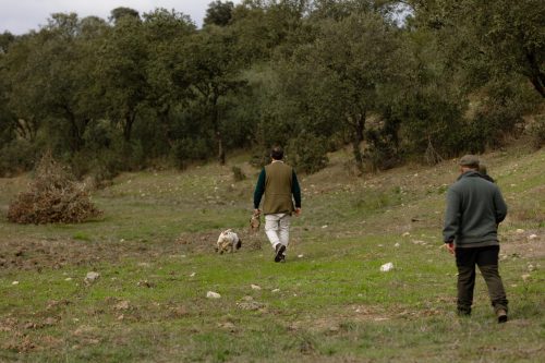 00293- Caçada Melo Pego do Lobo 2025