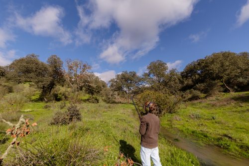 00294- Caçada Pego do Lobo fim época 2026