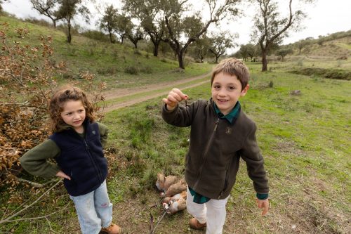 00297- Caçada Melo Pego do Lobo 2025