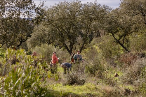 00297- Caçada Pego do Lobo fim época 2026