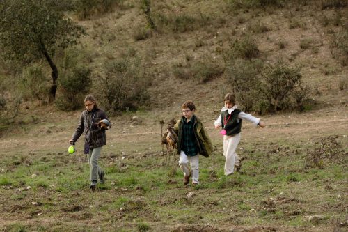 00298- Caçada Melo Pego do Lobo 2025