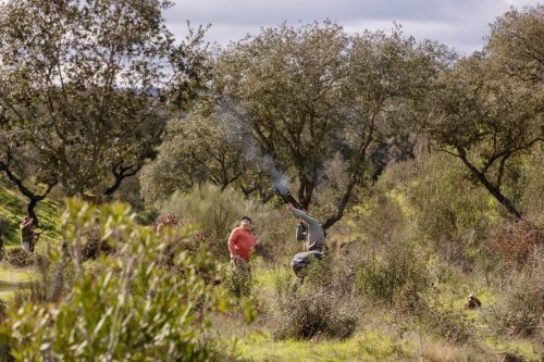 00298- Caçada Pego do Lobo fim época 2026