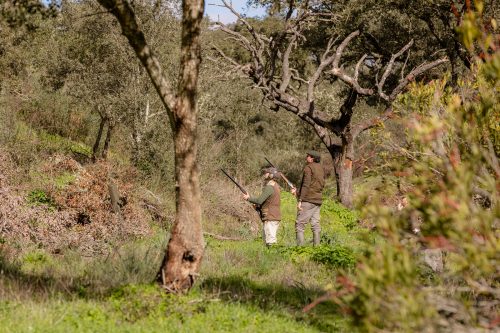 00299- Caçada Pego do Lobo fim época 2026