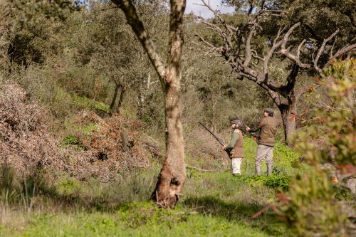 00300- Caçada Pego do Lobo fim época 2026
