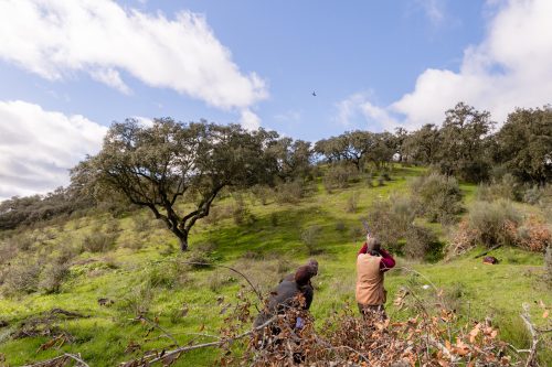 00301- Caçada Pego do Lobo fim época 2026
