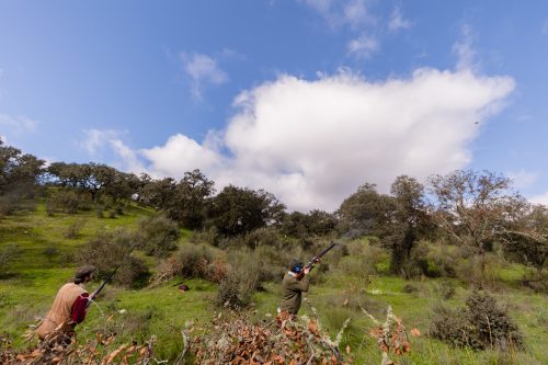 00302- Caçada Pego do Lobo fim época 2026