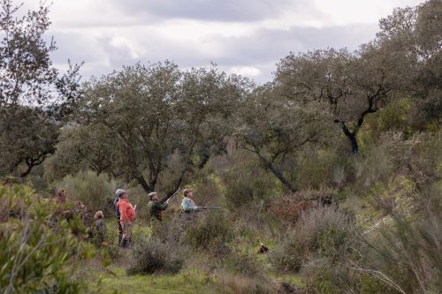 00304- Caçada Pego do Lobo fim época 2026