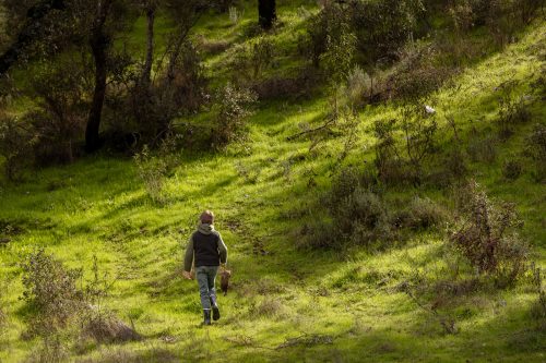 00305- Caçada Pego do Lobo fim época 2026