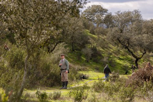 00306- Caçada Pego do Lobo fim época 2026