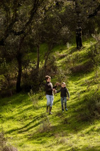 00307- Caçada Pego do Lobo fim época 2026