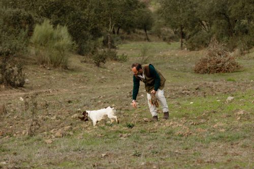 00308- Caçada Melo Pego do Lobo 2025