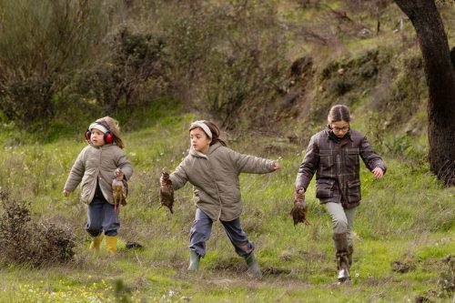 00309- Caçada Pego do Lobo fim época 2026