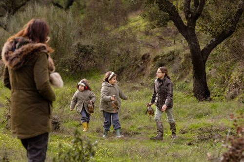 00310- Caçada Pego do Lobo fim época 2026