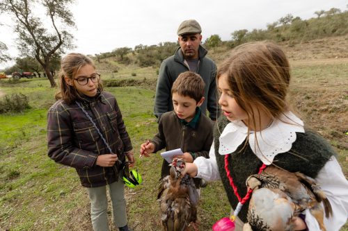00315- Caçada Melo Pego do Lobo 2025
