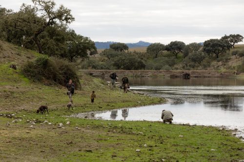 00319- Caçada Melo Pego do Lobo 2025