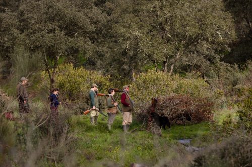 00325- Caçada Pego do Lobo fim época 2026