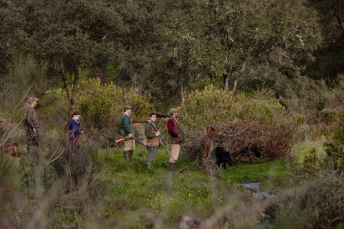 00326- Caçada Pego do Lobo fim época 2026