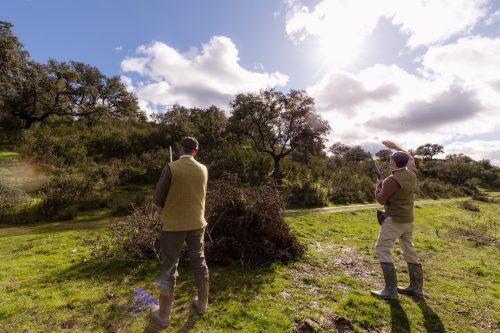 00329- Caçada Pego do Lobo fim época 2026