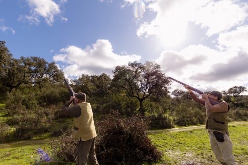 00330- Caçada Pego do Lobo fim época 2026