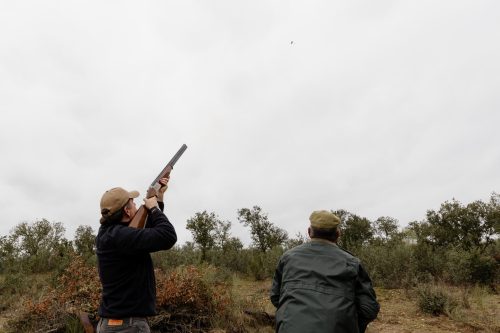 00331- Caçada Melo Pego do Lobo 2025