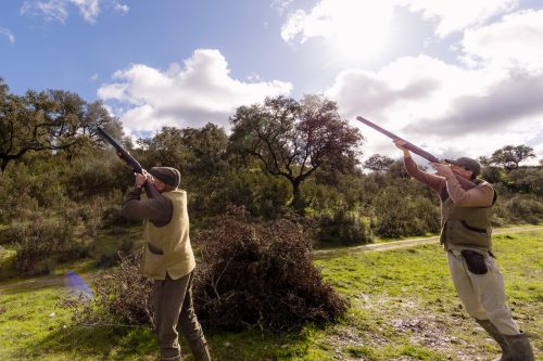 00331- Caçada Pego do Lobo fim época 2026