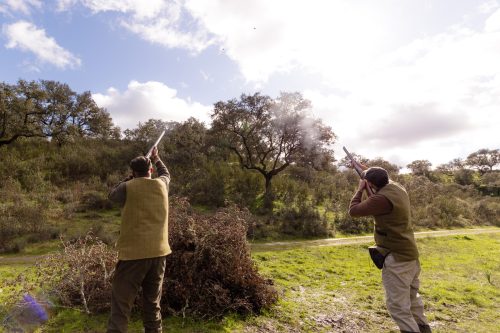 00333- Caçada Pego do Lobo fim época 2026