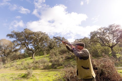00335- Caçada Pego do Lobo fim época 2026