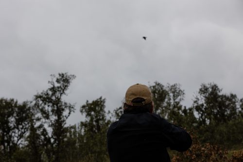 00338- Caçada Melo Pego do Lobo 2025