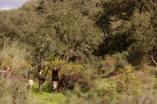 00338- Caçada Pego do Lobo fim época 2026