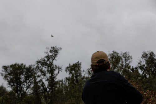 00339- Caçada Melo Pego do Lobo 2025