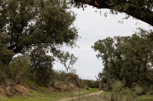 00341- Caçada Melo Pego do Lobo 2025