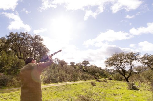 00342- Caçada Pego do Lobo fim época 2026