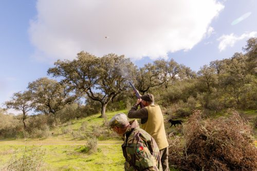 00343- Caçada Pego do Lobo fim época 2026